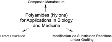 Graphical abstract: Polyamides and their functionalization: recent concepts for their applications as biomaterials