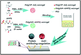Graphical abstract: Engineering of hemocompatible and antifouling polyethersulfone membranes by blending with heparin-mimicking microgels