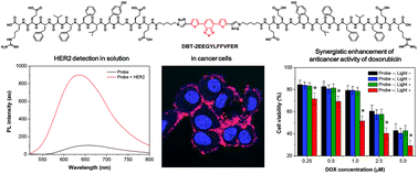 Graphical abstract: A specific environment-sensitive near-infrared fluorescent turn-on probe for synergistic enhancement of anticancer activity of a chemo-drug