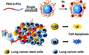 Graphical abstract: A micellar cisplatin prodrug simultaneously eliminates both cancer cells and cancer stem cells in lung cancer
