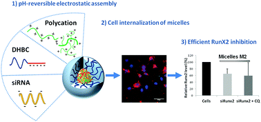 Graphical abstract: Tripartite polyionic complex (PIC) micelles as non-viral vectors for mesenchymal stem cell siRNA transfection