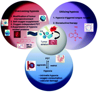 Graphical abstract: Manipulating tumor hypoxia toward enhanced photodynamic therapy (PDT)