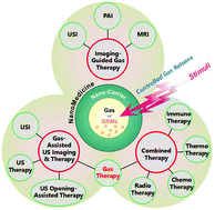 Graphical abstract: Precision gas therapy using intelligent nanomedicine