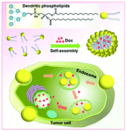 Graphical abstract: Dendritic phospholipid-based drug delivery systems