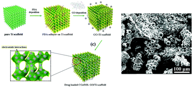 Graphical abstract: Mussel-inspired graphene oxide nanosheet-enwrapped Ti scaffolds with drug-encapsulated gelatin microspheres for bone regeneration