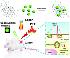 Graphical abstract: Lanthanide-doped upconversion nanoparticles complexed with nano-oxide graphene used for upconversion fluorescence imaging and photothermal therapy