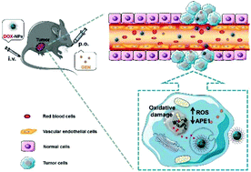 Graphical abstract: Co-administration of genistein with doxorubicin-loaded polypeptide nanoparticles weakens the metastasis of malignant prostate cancer by amplifying oxidative damage