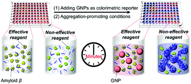 Graphical abstract: A gold nanoparticle-mediated rapid in vitro assay of anti-aggregation reagents for amyloid β and its validation