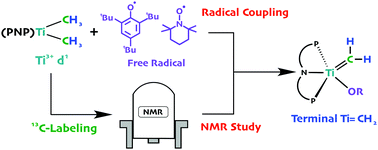 Graphical abstract: A radical coupled pathway to a stable and terminally bound titanium methylidene