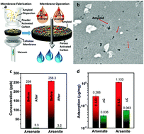 Graphical abstract: Efficient purification of arsenic-contaminated water using amyloid–carbon hybrid membranes