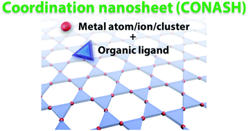 Graphical abstract: Coordination nanosheets (CONASHs): strategies, structures and functions