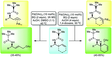 Graphical abstract: Selective palladium(ii)-mediated oxidation of homoallylic N-tert-butanesulfinyl amine derivatives