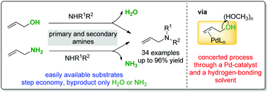Graphical abstract: Direct use of allylic alcohols and allylic amines in palladium-catalyzed allylic amination