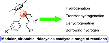 Graphical abstract: Iridacycles for hydrogenation and dehydrogenation reactions