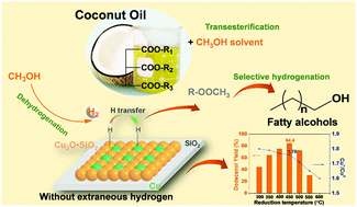 Graphical abstract: Selective conversion of coconut oil to fatty alcohols in methanol over a hydrothermally prepared Cu/SiO2 catalyst without extraneous hydrogen