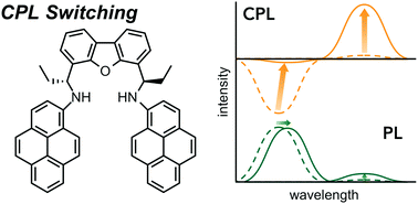 Graphical abstract: Concentration-dependent circularly polarized luminescence (CPL) of chiral N,N′-dipyrenyldiamines: sign-inverted CPL switching between monomer and excimer regions under retention of the monomer emission for photoluminescence