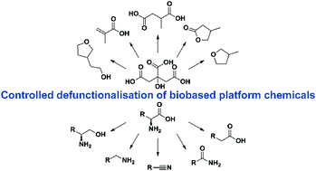 Graphical abstract: Controlled defunctionalisation of biobased organic acids