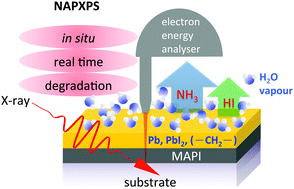 Graphical abstract: In situ investigation of degradation at organometal halide perovskite surfaces by X-ray photoelectron spectroscopy at realistic water vapour pressure