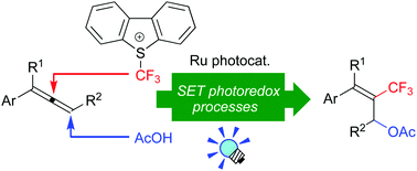 Graphical abstract: Photoredox-catalyzed oxytrifluoromethylation of allenes: stereoselective synthesis of 2-trifluoromethylated allyl acetates