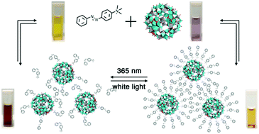 Graphical abstract: Photoisomerisation and light-induced morphological switching of a polyoxometalate–azobenzene hybrid