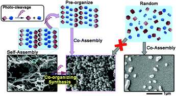 Graphical abstract: Co-organizing synthesis of heterogeneous nanostructures through the photo-cleavage of pre-stabilized self-assemblies