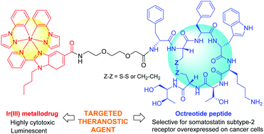 Graphical abstract: Somatostatin receptor-targeted organometallic iridium(iii) complexes as novel theranostic agents