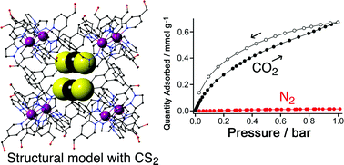 Graphical abstract: Highly selective CO2vs. N2 adsorption in the cavity of a molecular coordination cage