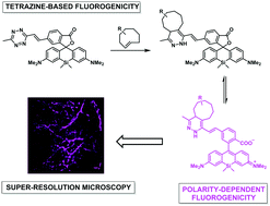 Graphical abstract: Bioorthogonal double-fluorogenic siliconrhodamine probes for intracellular super-resolution microscopy