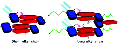 Graphical abstract: Long alkyl side-chains impede exciton interaction in organic light harvesting crystals