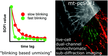 Graphical abstract: Live-cell monochromatic dual-label sub-diffraction microscopy by mt-pcSOFI