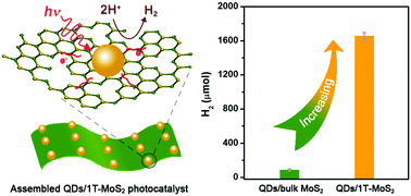 Graphical abstract: Assembling metallic 1T-MoS2 nanosheets with inorganic-ligand stabilized quantum dots for exceptional solar hydrogen evolution