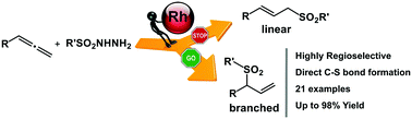 Graphical abstract: Rhodium-catalyzed addition of sulfonyl hydrazides to allenes: regioselective synthesis of branched allylic sulfones