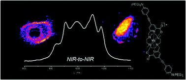 Graphical abstract: Near infrared two photon imaging using a bright cationic Yb(iii) bioprobe spontaneously internalized into live cells