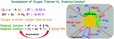 Graphical abstract: Development of air-stable hydrogen evolution catalysts