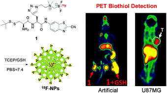 Graphical abstract: Development of a kit-like radiofluorinated biomolecule leading to a controlled self-assembly of 18F nanoparticles for a smart PET imaging application