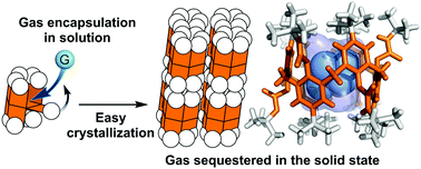 Graphical abstract: Encapsulation and solid state sequestration of gases by calix[6]arene-based molecular containers