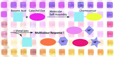 Graphical abstract: A molecular self-assembled colourimetric chemosensor array for simultaneous detection of metal ions in water