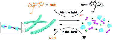 Graphical abstract: Light-controlled reversible self-assembly of nanorod suprastructures