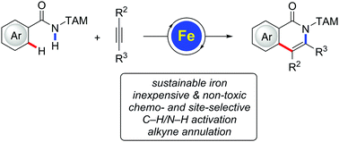 Graphical abstract: Iron-catalyzed C–H/N–H activation by triazole guidance: versatile alkyne annulation