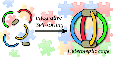 Graphical abstract: Integrative self-sorting of coordination cages based on ‘naked’ metal ions