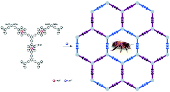 Graphical abstract: Stepwise self-assembly of a discrete molecular honeycomb using a multitopic metallo-organic ligand