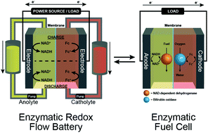 Graphical abstract: Bioelectrocatalytic NAD+/NADH inter-conversion: transformation of an enzymatic fuel cell into an enzymatic redox flow battery