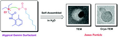 Graphical abstract: Janus particles self-assembled from a small organic atypical asymmetric gemini surfactant