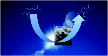 Graphical abstract: Tuning the photocatalytic activity of bismuth wolframate: towards selective oxidations for the biorefinery driven by solar-light