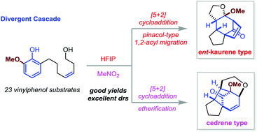 Graphical abstract: A divergent [5+2] cascade approach to bicyclo[3.2.1]octanes: facile synthesis of ent-kaurene and cedrene-type skeletons