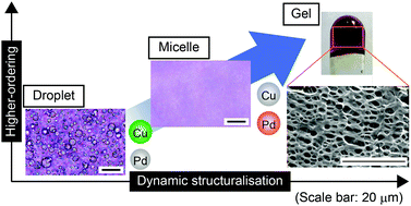 Graphical abstract: Sequential dynamic structuralisation by in situ production of supramolecular building blocks