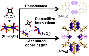Graphical abstract: Exploring structural complexity in the discovery and self-assembly of a family of nanoscale chalcoxides from {Se8Mo36} to {Se26Mo68}
