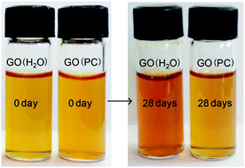 Graphical abstract: Organic dispersions of graphene oxide with arbitrary concentrations and improved chemical stability