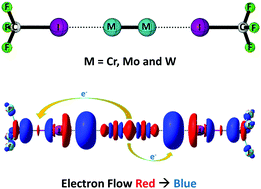 Graphical abstract: A halogen bond route to shorten the ultrashort sextuple bonds in Cr2 and Mo2