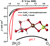 Graphical abstract: Electrocatalytic water oxidation by Cu(ii) ions in a neutral borate buffer solution